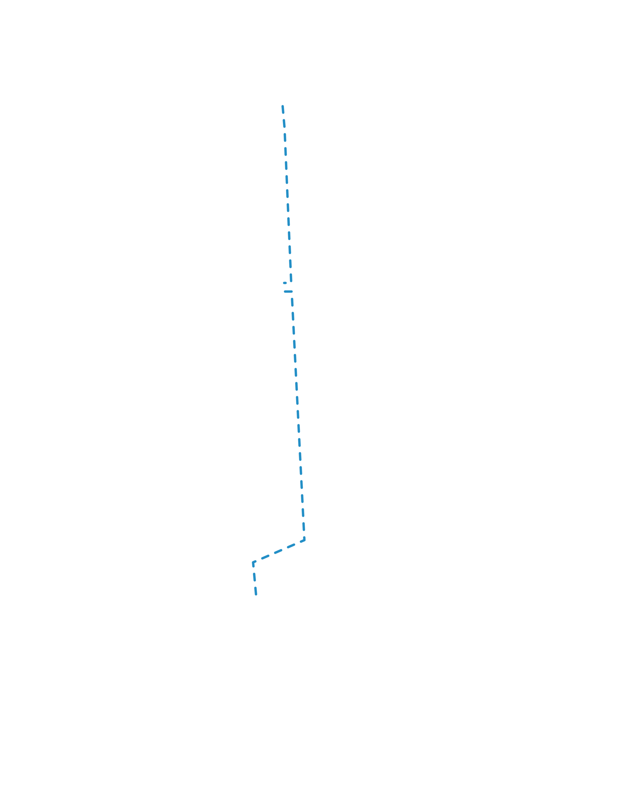 Laufweg - Blaue Linie Arzt