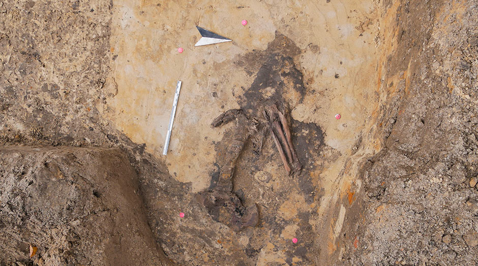 NLSTBV Post - skelettfund